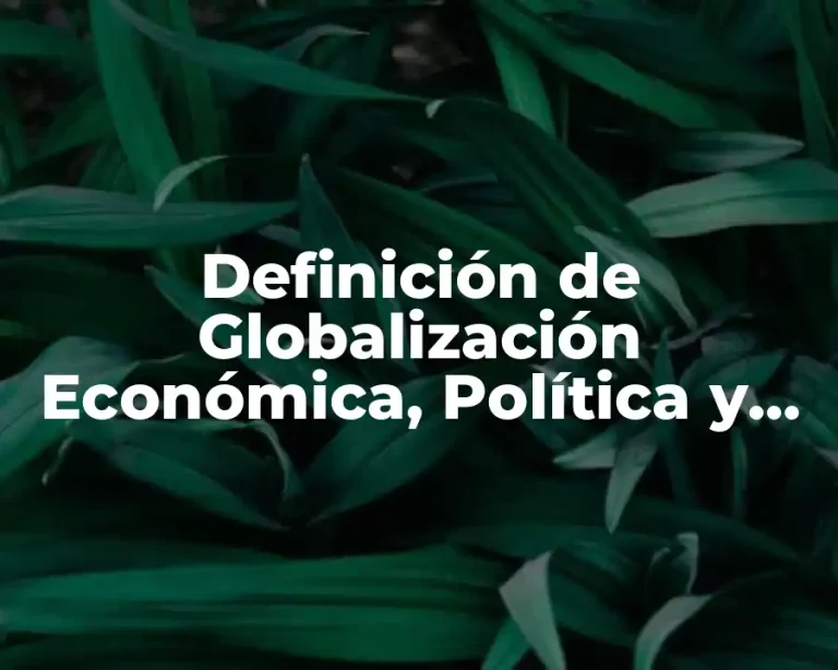 Definición de Globalización Económica, Política y Social
