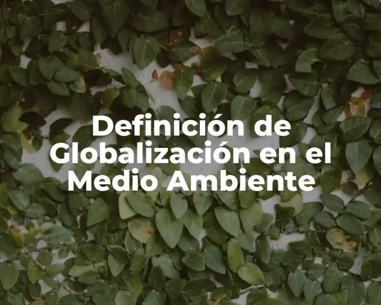 Definición de Globalización en el Medio Ambiente