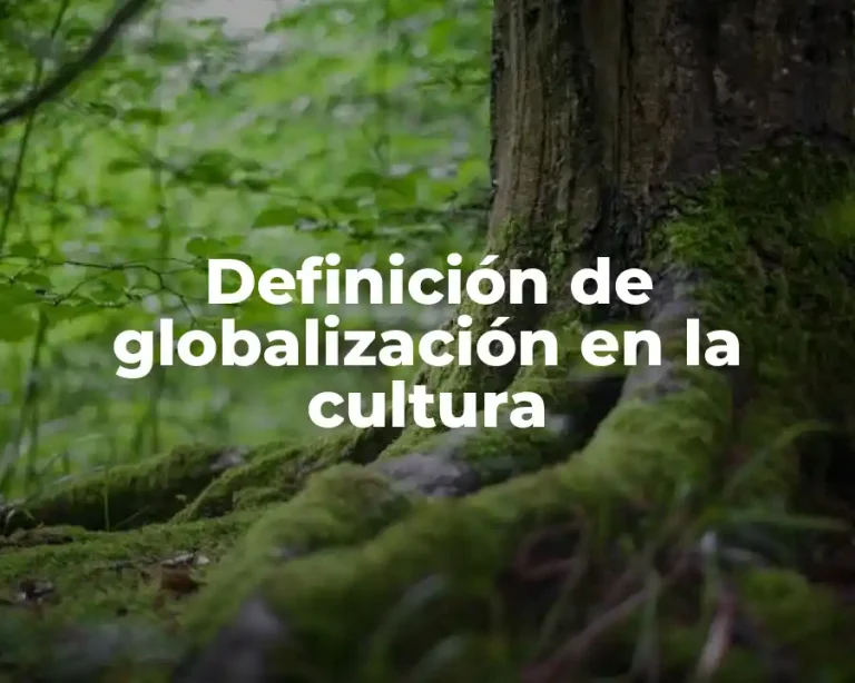 Definición de globalización en la cultura