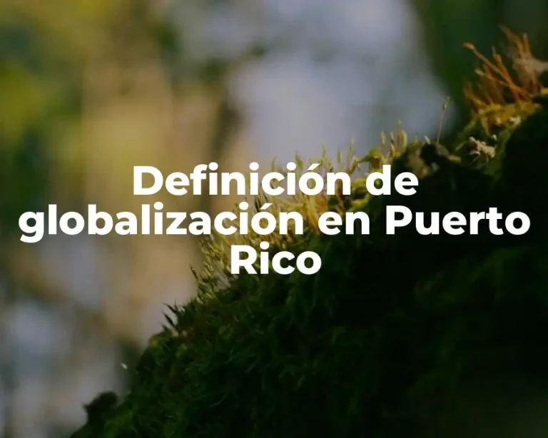 Definición de globalización en Puerto Rico