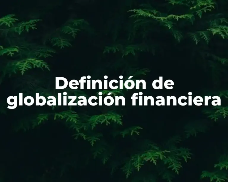 Definición de globalización financiera