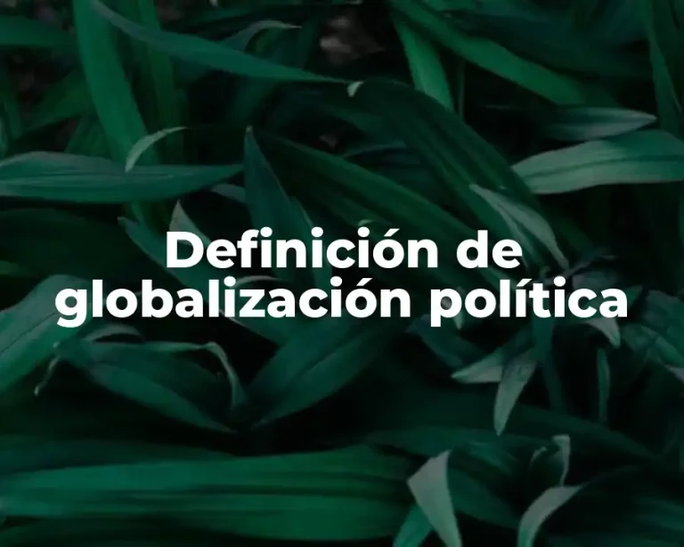 Definición de globalización política