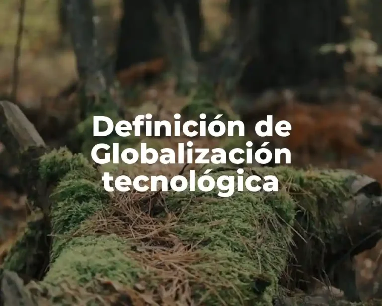 Definición de Globalización tecnológica