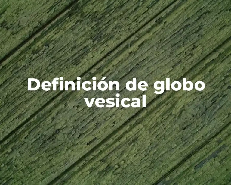 Definición de globo vesical