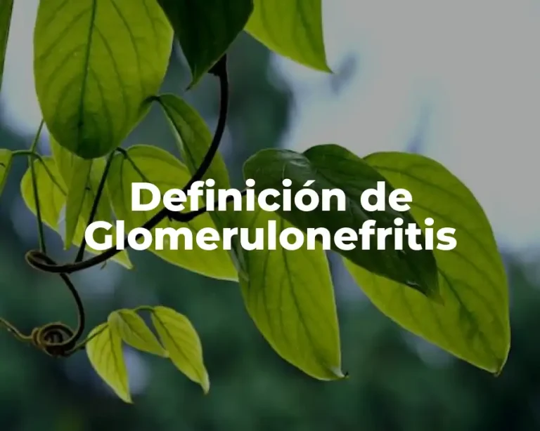 Definición de Glomerulonefritis