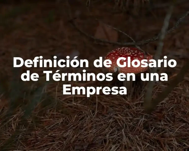 Definición de Glosario de Términos en una Empresa