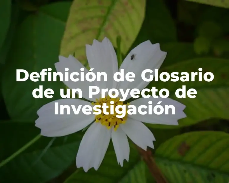 Definición de Glosario de un Proyecto de Investigación