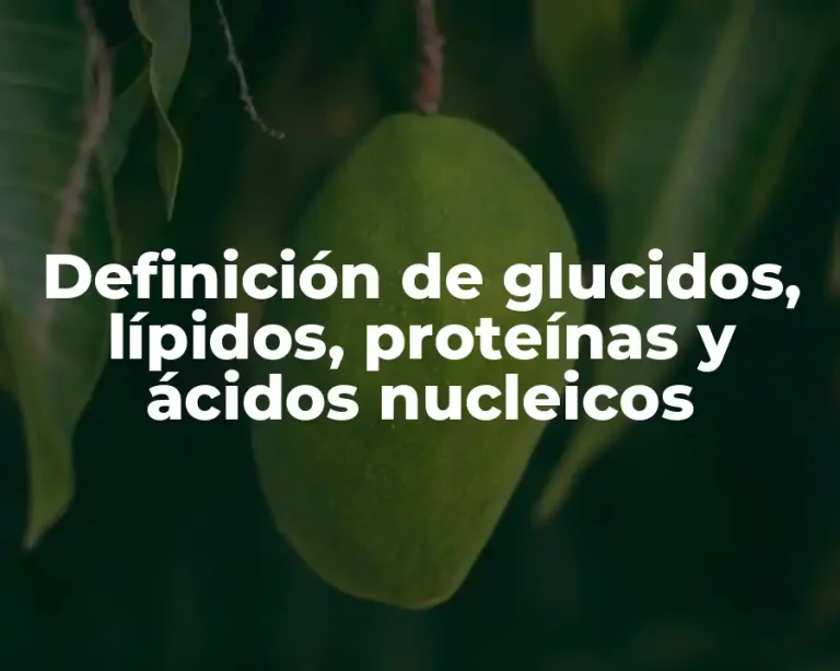 Definición de glucidos, lípidos, proteínas y ácidos nucleicos
