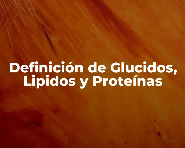 Definición de Glucidos, Lipidos y Proteínas