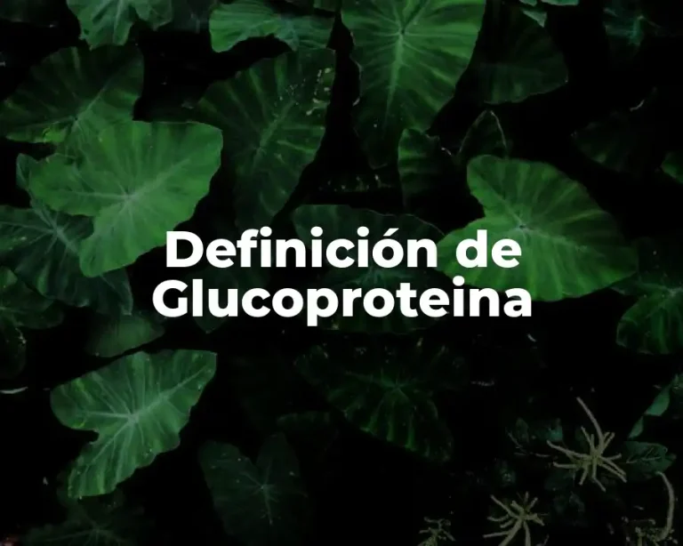 Definición de Glucoproteina