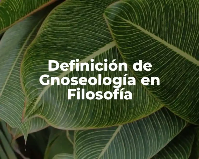 Definición de Gnoseología en Filosofía