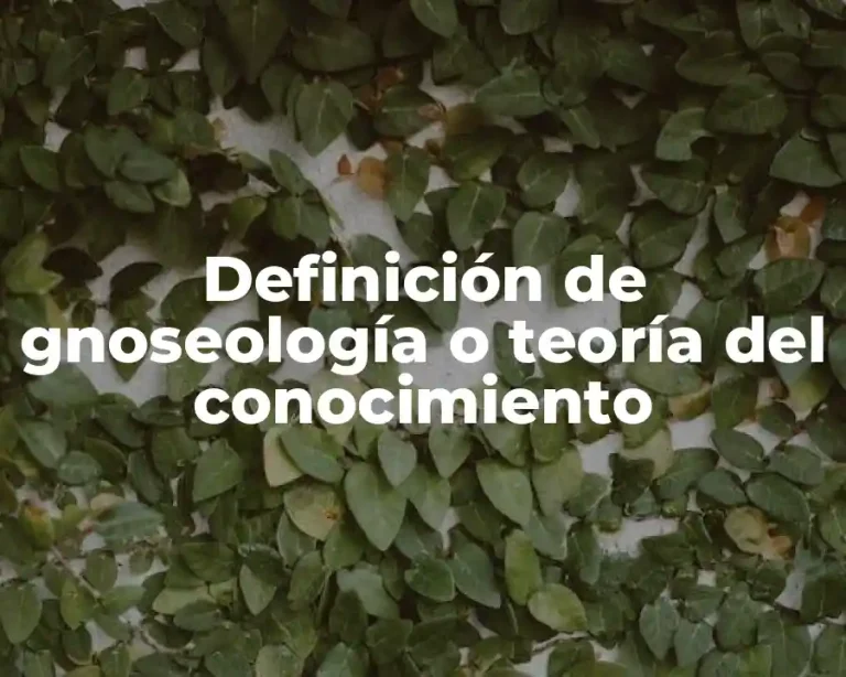 Definición de gnoseología o teoría del conocimiento