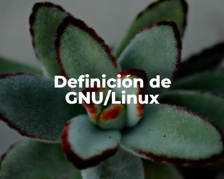 Definición de GNU/Linux