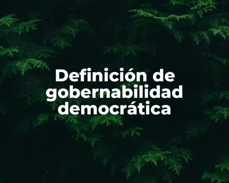 Definición de gobernabilidad democrática