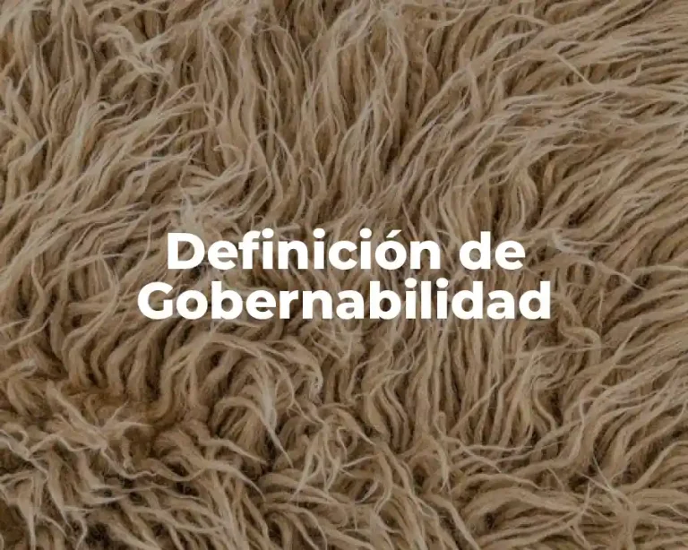 Definición de Gobernabilidad