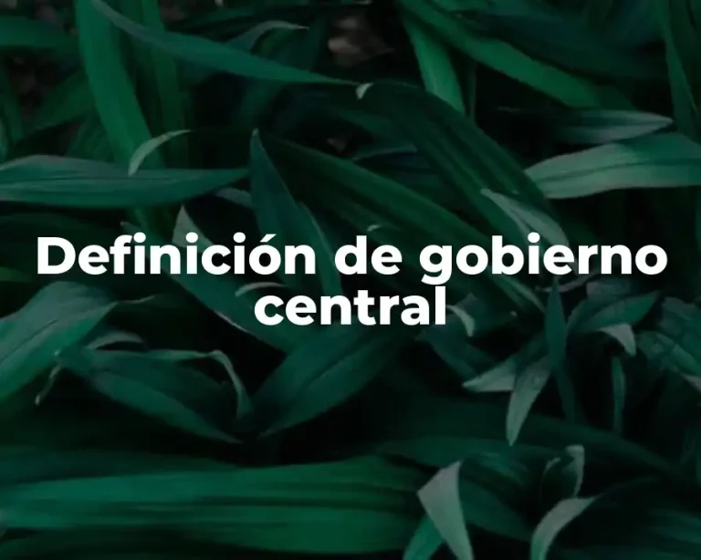 Definición de gobierno central
