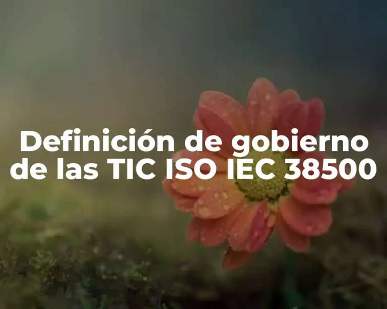 Definición de gobierno de las TIC ISO IEC 38500