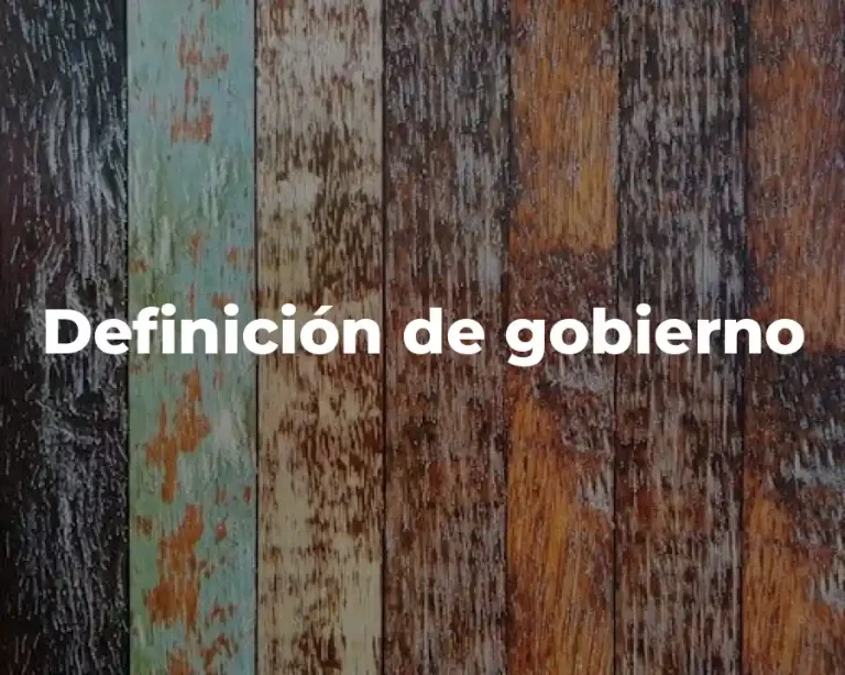 Definición de gobierno