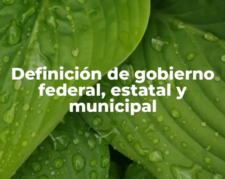 Definición de gobierno federal, estatal y municipal