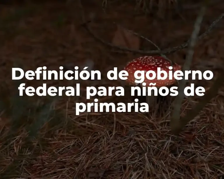 Definición de gobierno federal para niños de primaria
