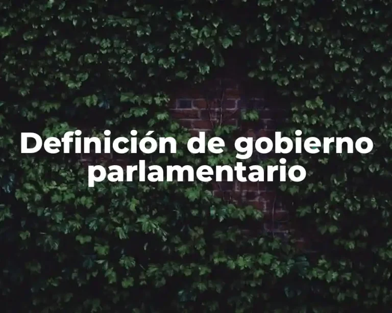 Definición de gobierno parlamentario