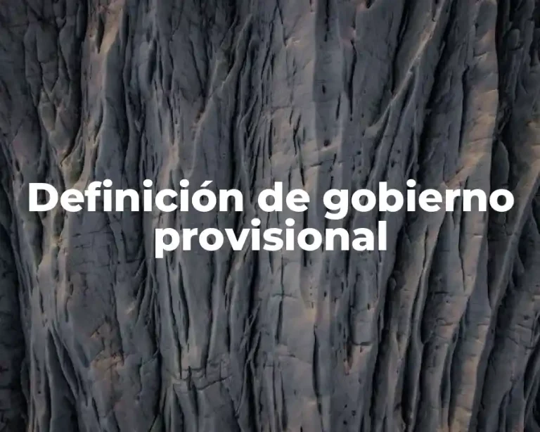 Definición de gobierno provisional