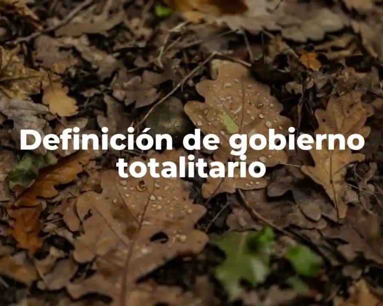 Definición de gobierno totalitario