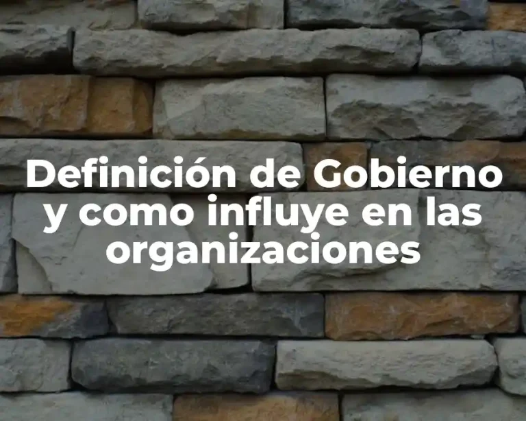 Definición de Gobierno y como influye en las organizaciones