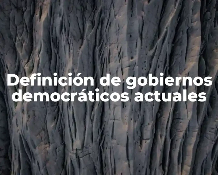Definición de gobiernos democráticos actuales