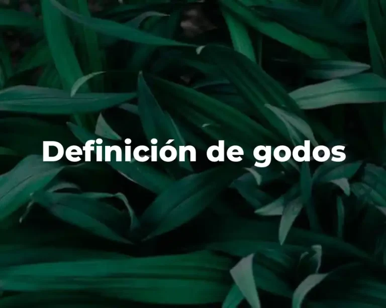 Definición de godos