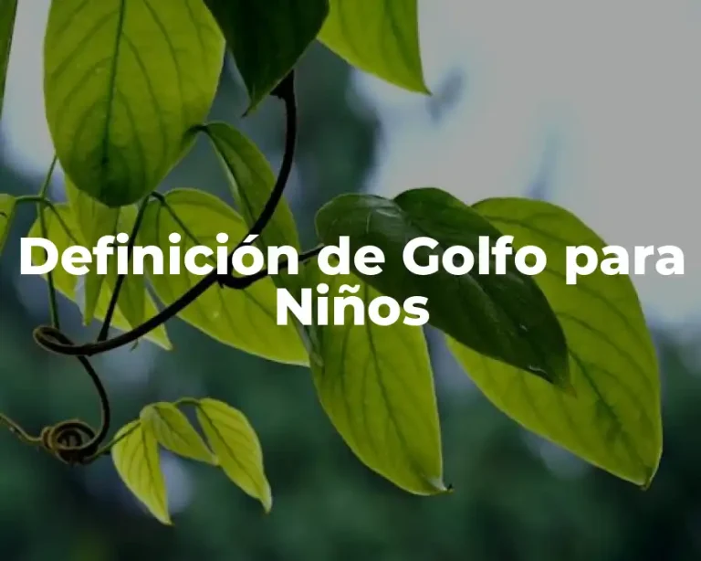 Definición de Golfo para Niños