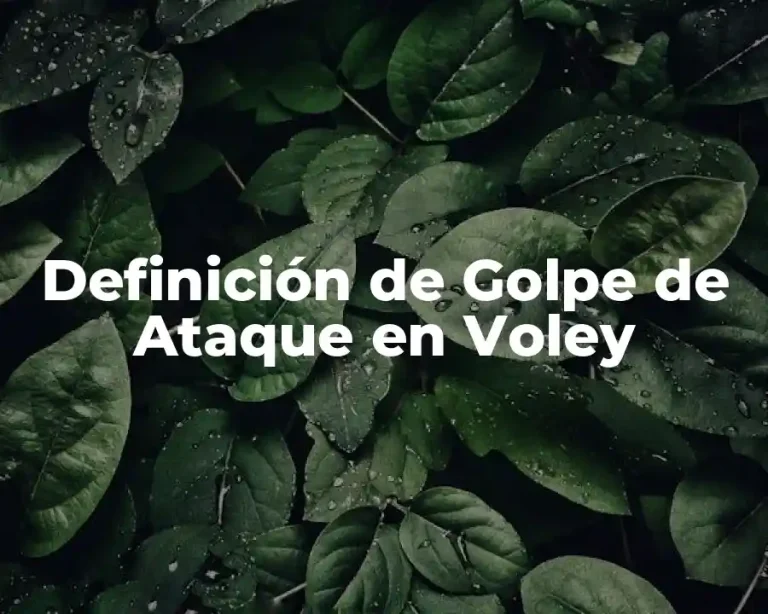 Definición de Golpe de Ataque en Voley