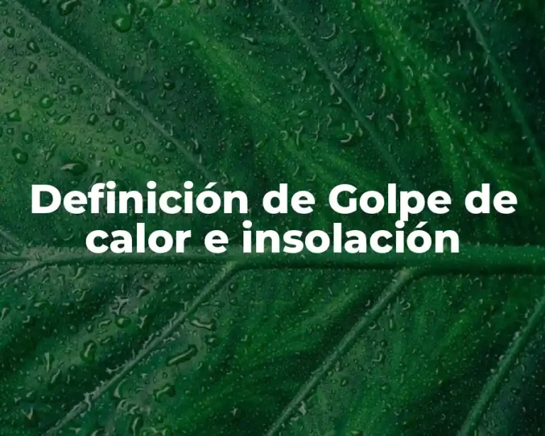 Definición de Golpe de calor e insolación