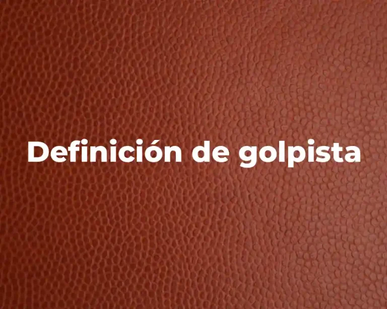 Definición de golpista