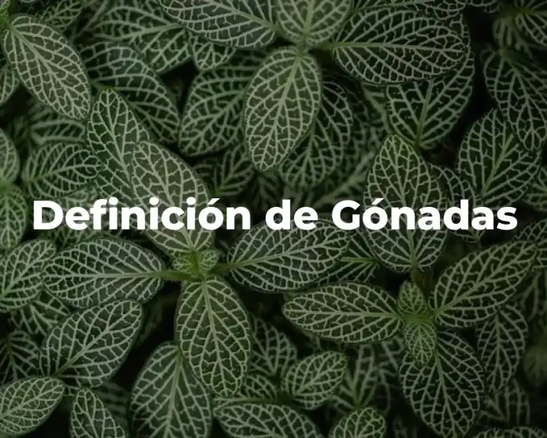 Definición de Gónadas