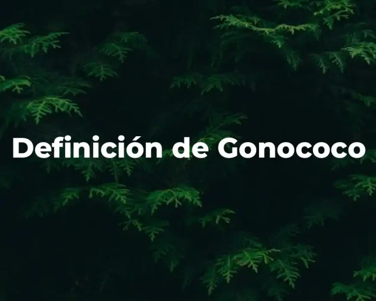 Definición de Gonococo