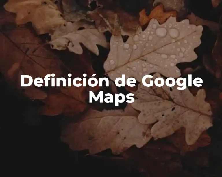 Definición de Google Maps