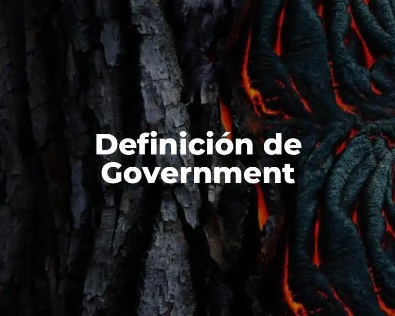 Definición de Government
