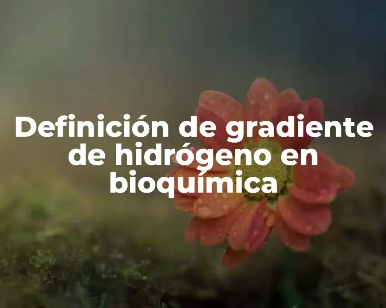 Definición de gradiente de hidrógeno en bioquímica