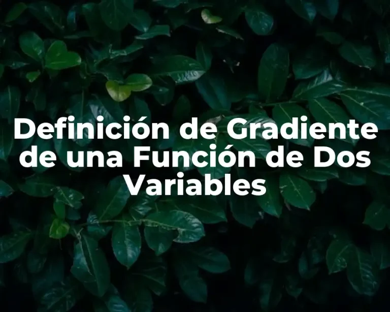 Definición de Gradiente de una Función de Dos Variables