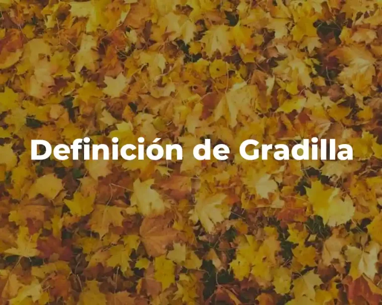 Definición de Gradilla