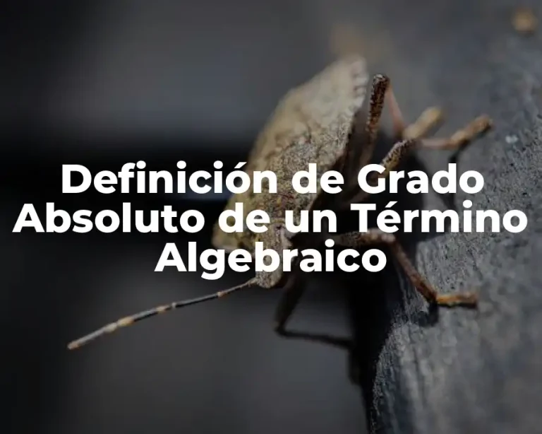 Definición de Grado Absoluto de un Término Algebraico