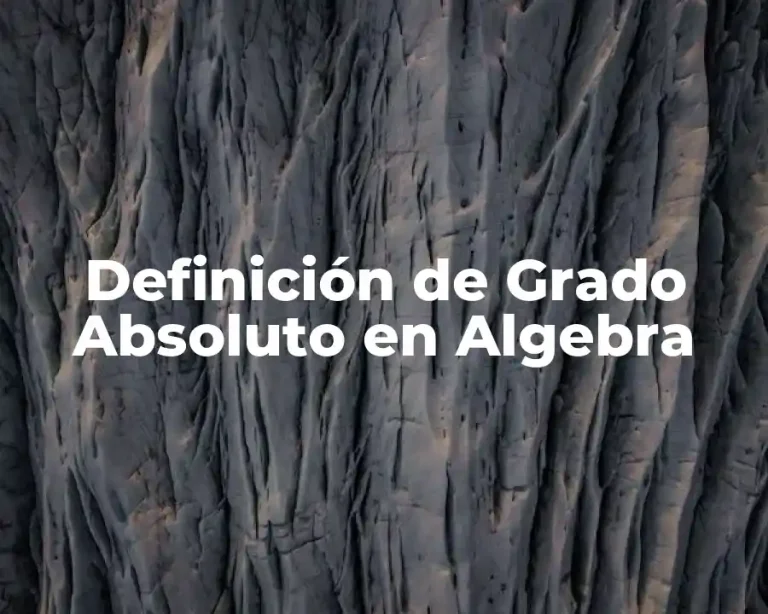 Definición de Grado Absoluto en Algebra