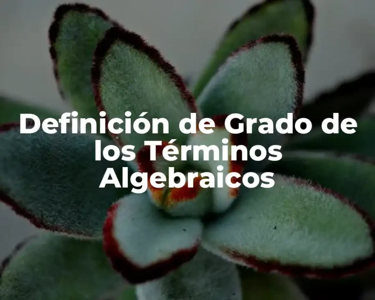 Definición de Grado de los Términos Algebraicos
