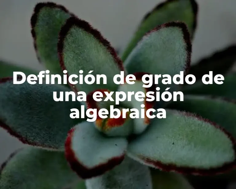 Definición de grado de una expresión algebraica