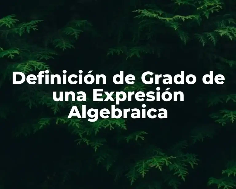 Definición de Grado de una Expresión Algebraica