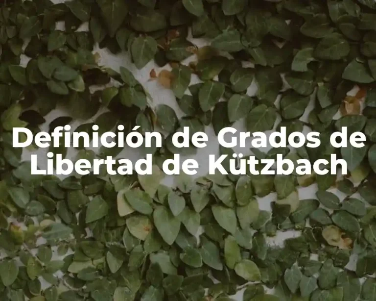 Definición de Grados de Libertad de Kützbach