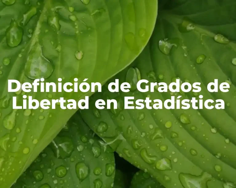 Definición de Grados de Libertad en Estadística