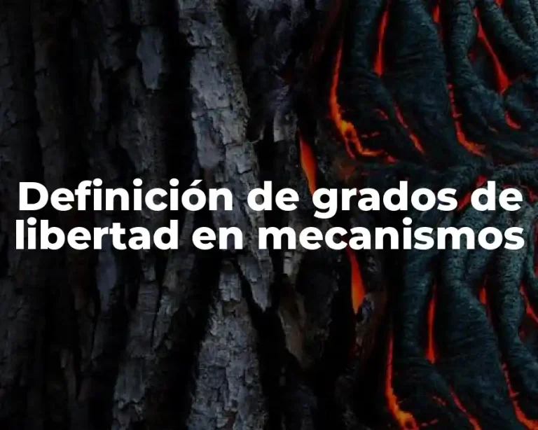 Definición de grados de libertad en mecanismos