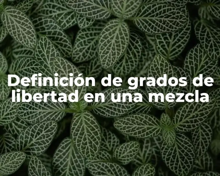 Definición de grados de libertad en una mezcla